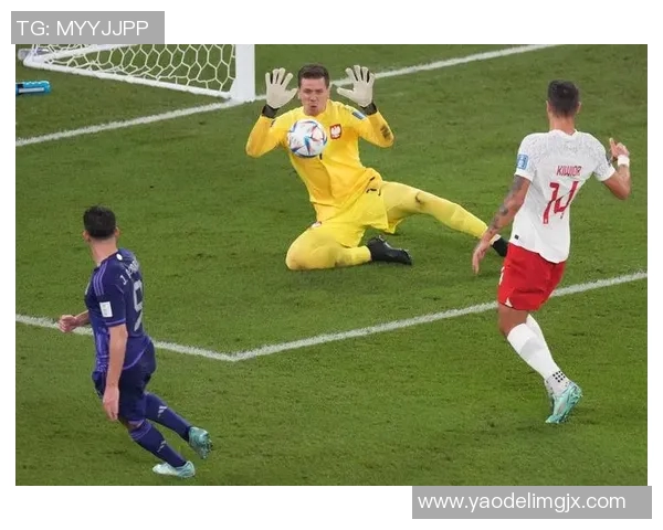 什琴斯尼携手知名企业，共同开创智慧城市新纪元