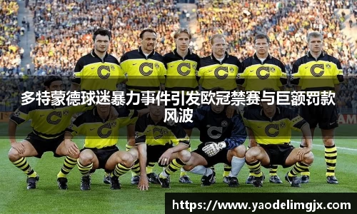 多特蒙德球迷暴力事件引发欧冠禁赛与巨额罚款风波